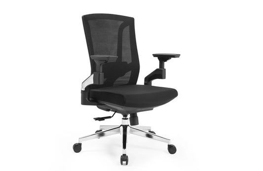 Ergo Mesh Chair